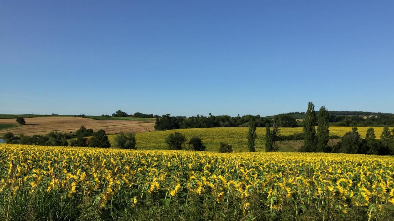 " Venez Dormir Chez Nous " #Condom#Gascogne#D'Artagnan#Armagnac#Le Bonheur Est Dans Le Gers Exterior photo