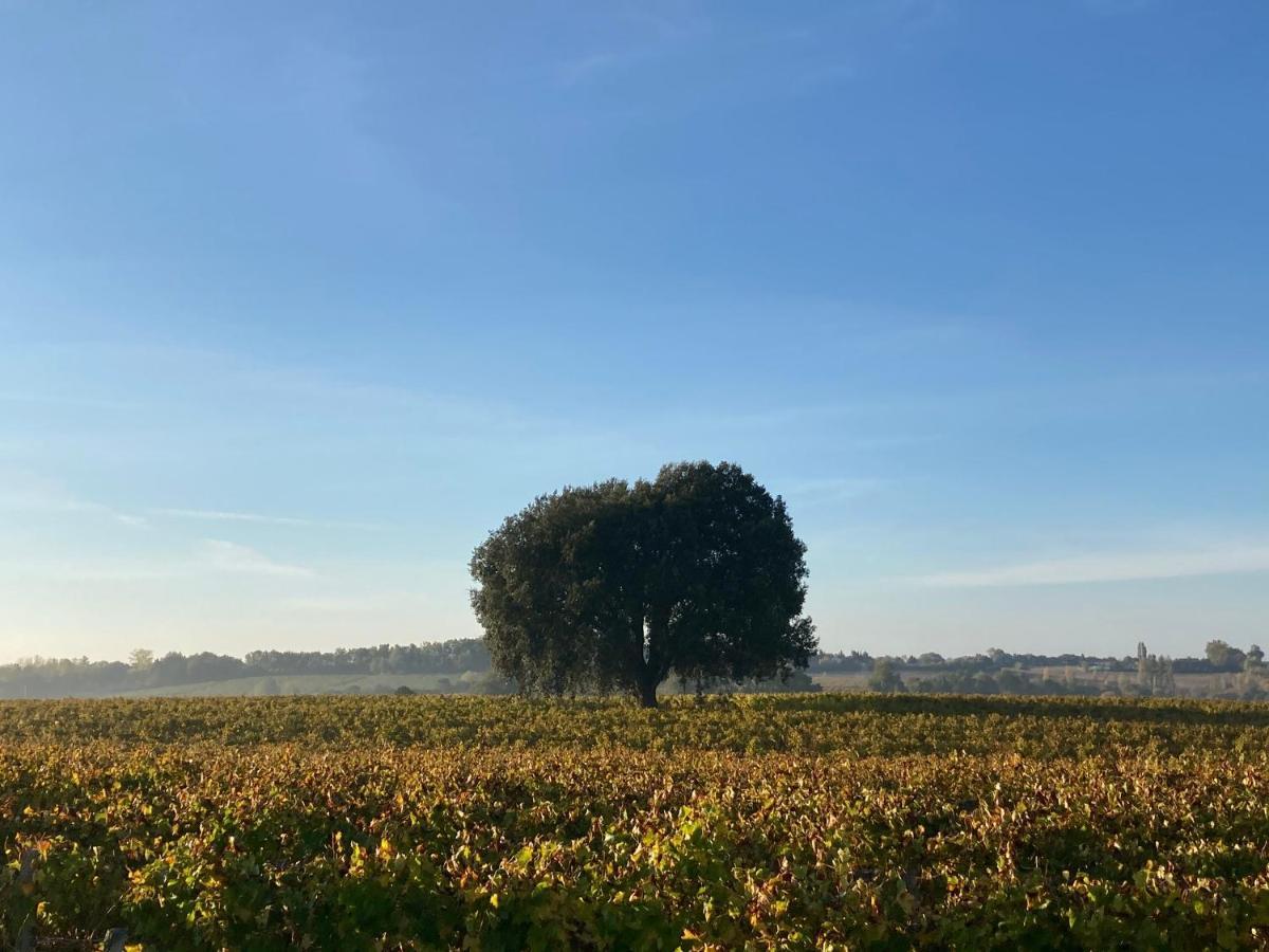 " Venez Dormir Chez Nous " #Condom#Gascogne#D'Artagnan#Armagnac#Le Bonheur Est Dans Le Gers Exterior photo