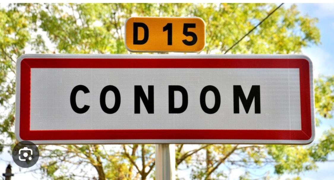 " Venez Dormir Chez Nous " #Condom#Gascogne#D'Artagnan#Armagnac#Le Bonheur Est Dans Le Gers Exterior photo